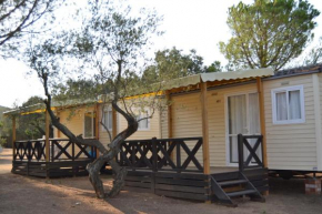 Camping Relax Ge